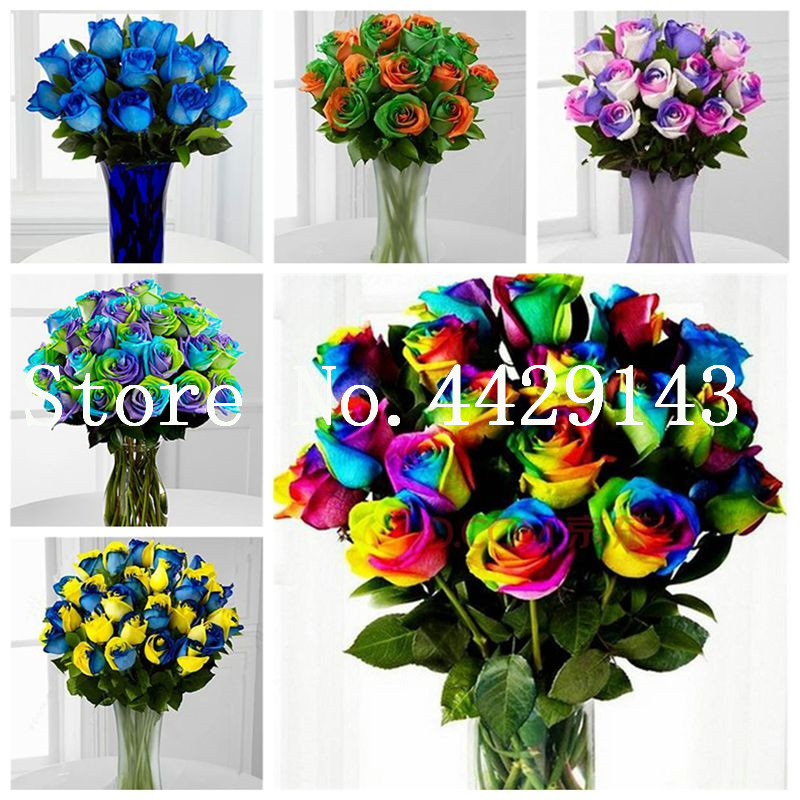 

Rare Exotic 400 Pcs Seeds Rose plants , Rainbow Roses Bonsai Flowers plants perennial garden jardim plante