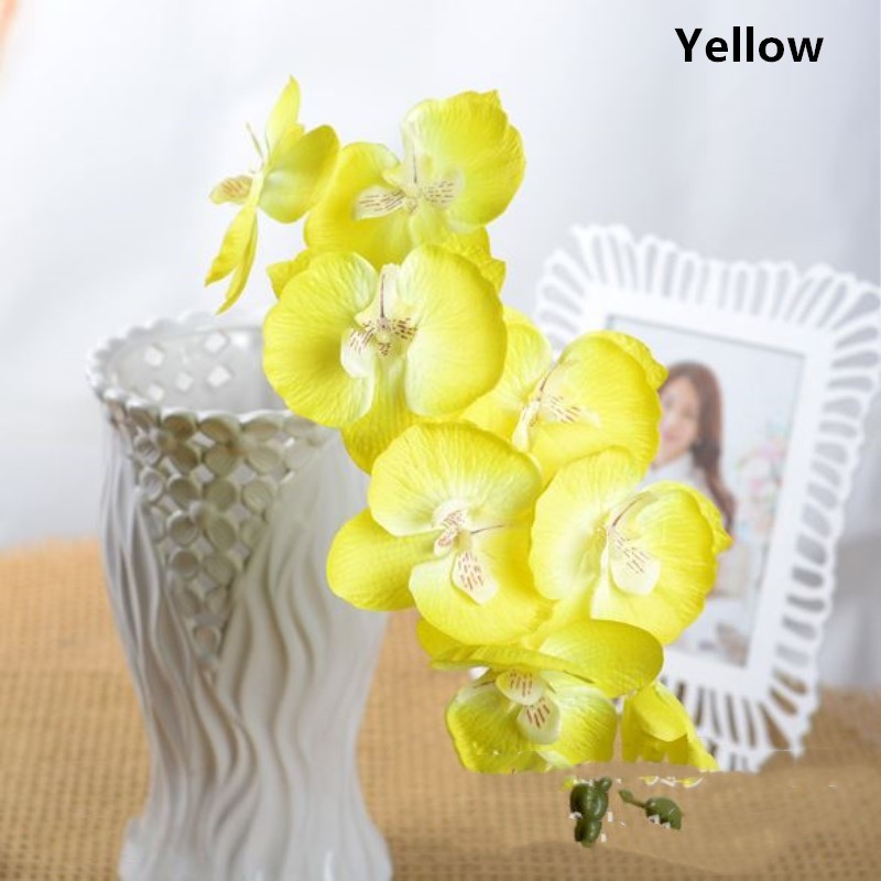 Yellow Phalaenopsis