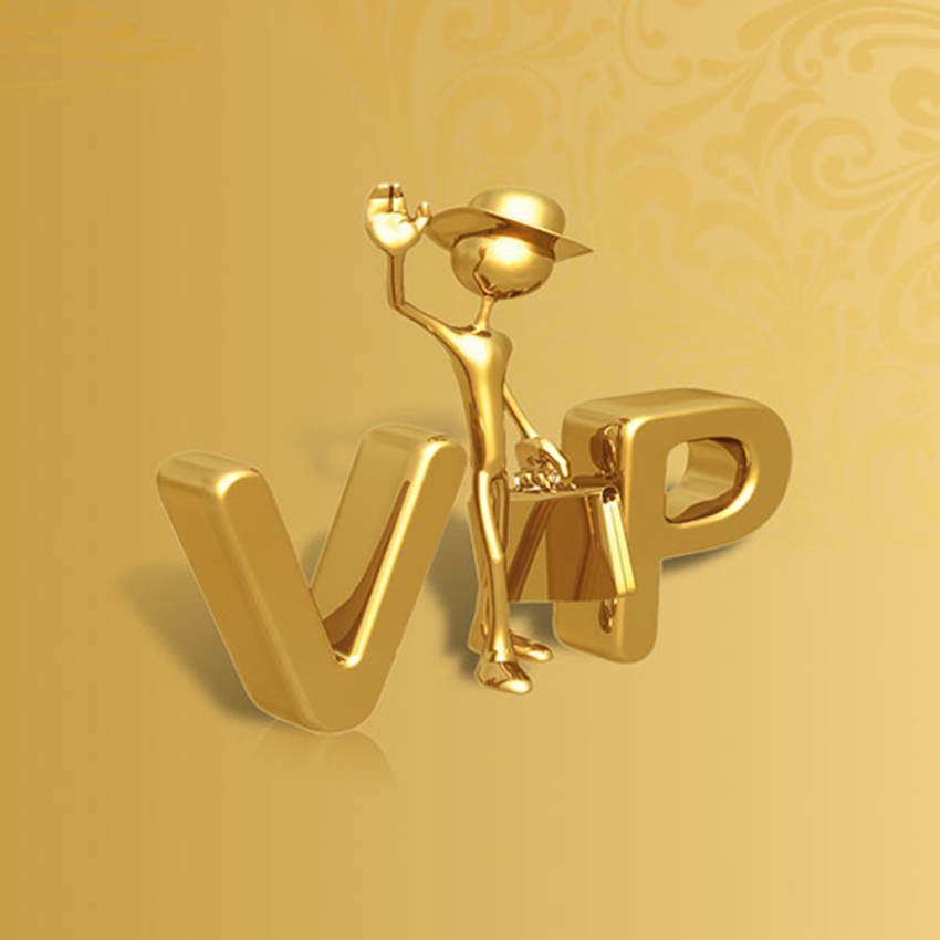 

Link to Pay ZZA Only For Specific Payment ZZA100000 VIP VIP VIP1, As pic