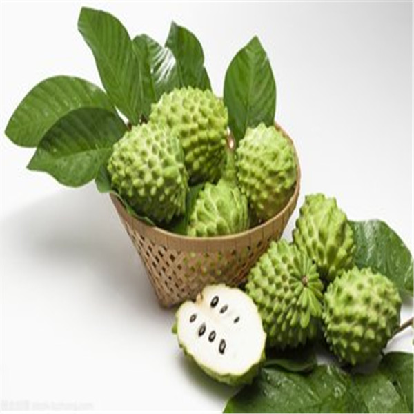 

20 Pcs Sweetsop Fruit seeds Custard Apple Buddha's Head Fruits Cherimoya Sugar Apple Annona Tree 100% true shipping Easy to grow