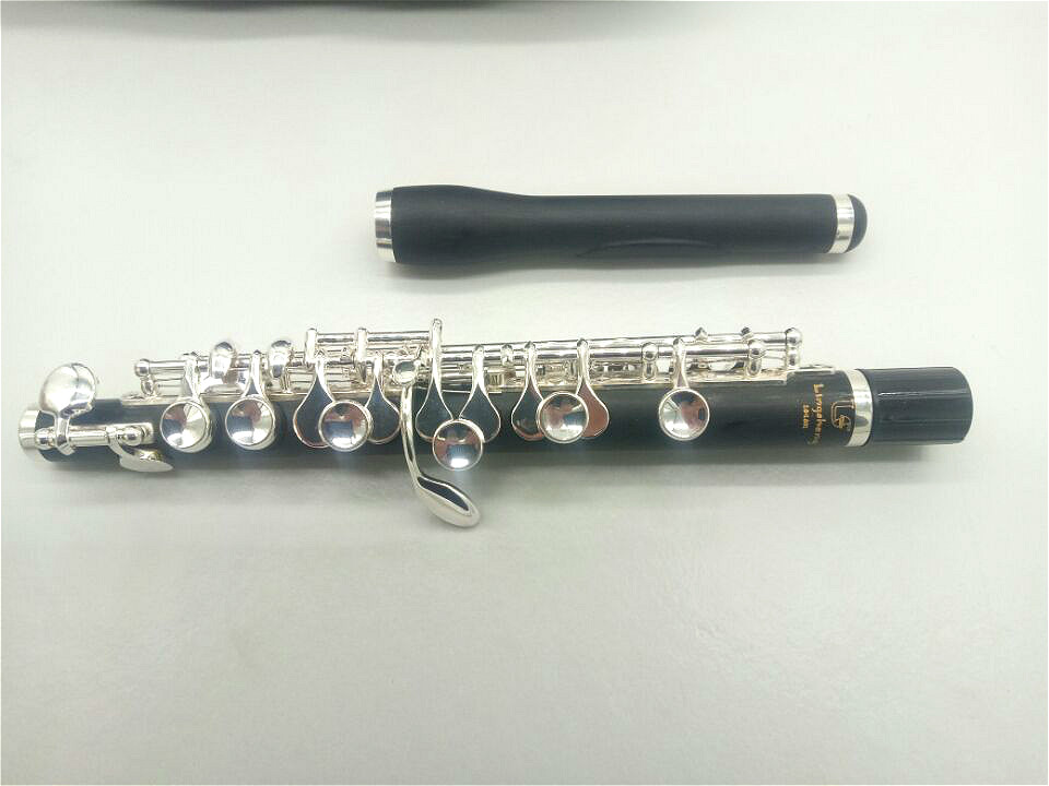 View Piccolo Instrumento Animado Background