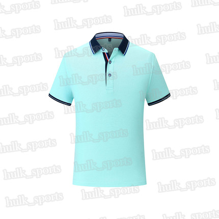 

2656 Sports polo Ventilation Quick-drying Hot sales Top quality men 201d T9 Short sleeve-shirt comfortable new style jersey125502212, Brown