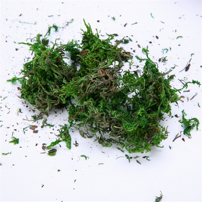 

Natural 30g bag dry real green moss decorative plants vase artificial turf silk Flower accessories for flowerpot decoration, As pic