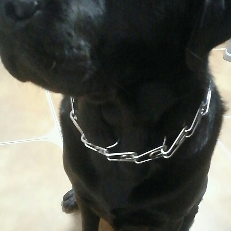 

Dog Collar Strong Professional Metal Nylon Pinch Dog Training Chain Collar Prong Pet Choke Collars 3 Different Size