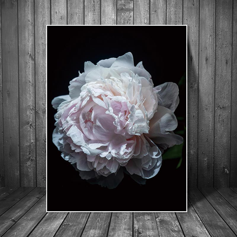 

Art wall Canvas art Paintings abstract painting prints flower on canvas home painting no frame Wall print poster