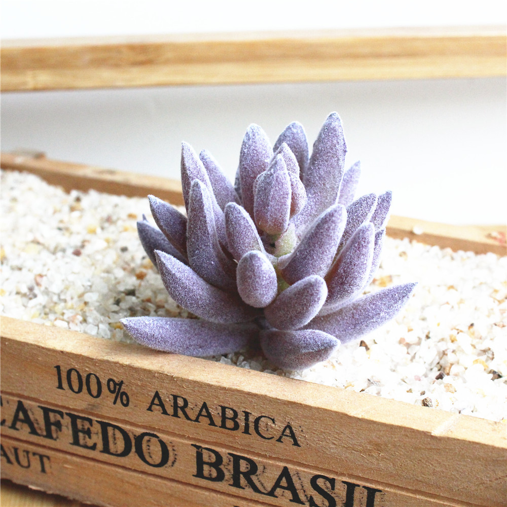 

2019 New Artificial Succulent Plants Wall Flower 1pc Purple Fake Tianshan Snow Lotus Glass Plantas Artificiales Para Decoracion, Pink