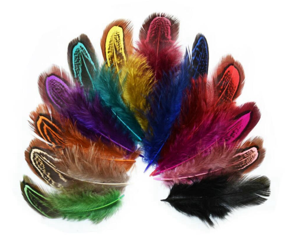 discount feathers in bulk