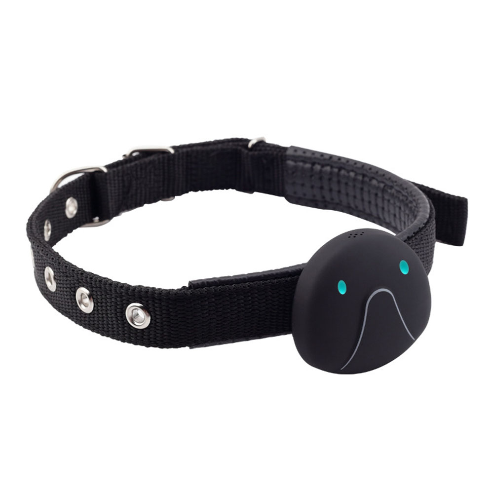 garmin dc 30 collar