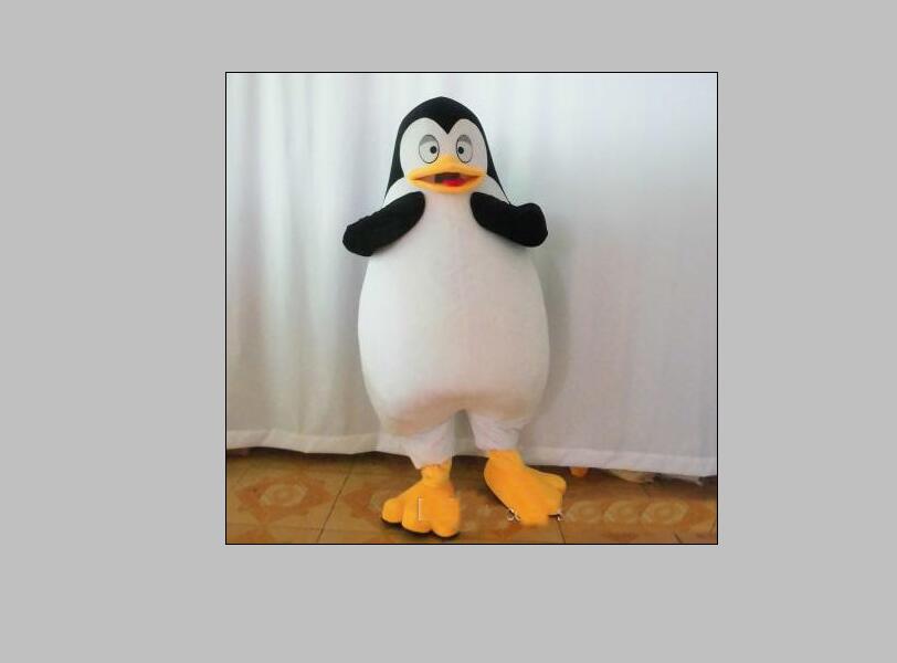 2026 Factory direct sale the head penguin mascot costume for adult to wear for sale-image-546485226
