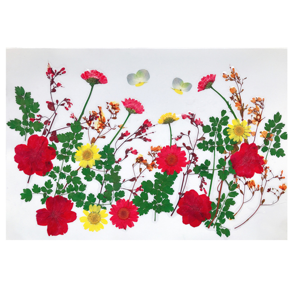 

mixed dried flowers pressed leaves embellishments diy scrapbooking card making