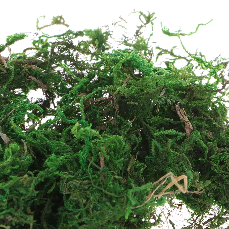 

Artificial Moss Fresh Green Modeling Fake Plants For Home Garden Decoration 72XF, 400g