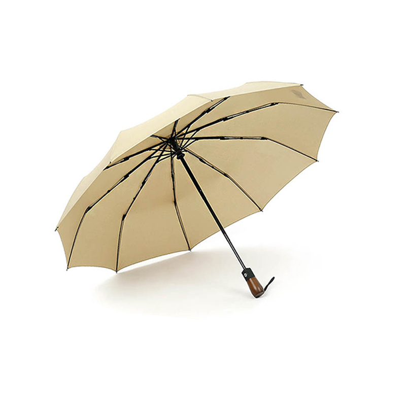 

New 10 bone windproof folding fashion umbrella automatic handle umbrella business creative women free shipping, Black