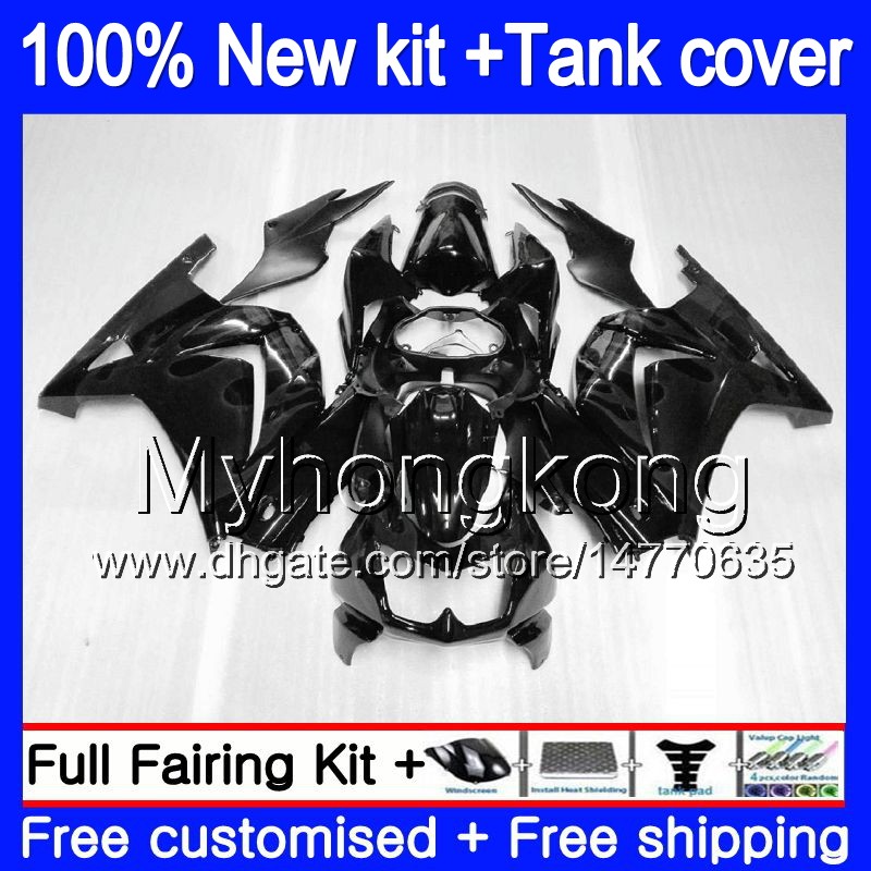 

+Tank For KAWASAKI EX-250 ZX250R 2008 2009 2010 2011 2012 201MY.49 EX250 ZX 250R EX 250 ZX-250R EX250R 08 09 10 11 12 Silver flames Fairing, No. 24