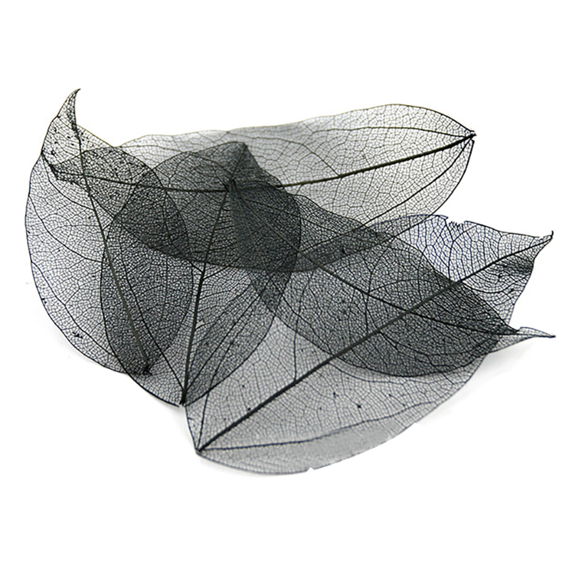 

5pc/set Dried Flowers Leaves Nails Art Decor Real Leaves Texture Veins Net Leaf Real Leaf Pressed Flowers Diy Decorations