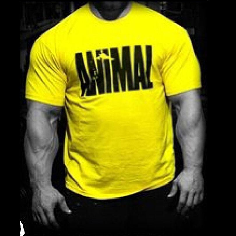 

Animal letter print tracksuit t shirt muscle shirt Trends in 2020 fitness cotton brand clothes for men bodybuilding Tee large XXL free ship, Gray black letter