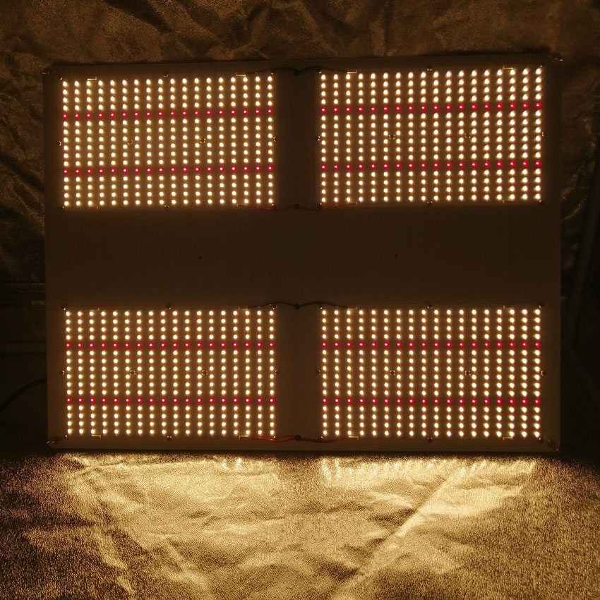 Rabatt Rote Lampe Wachsen Pflanze 2020 Rote Lampe Wachsen Pflanze Im Angebot Auf De Dhgate Com