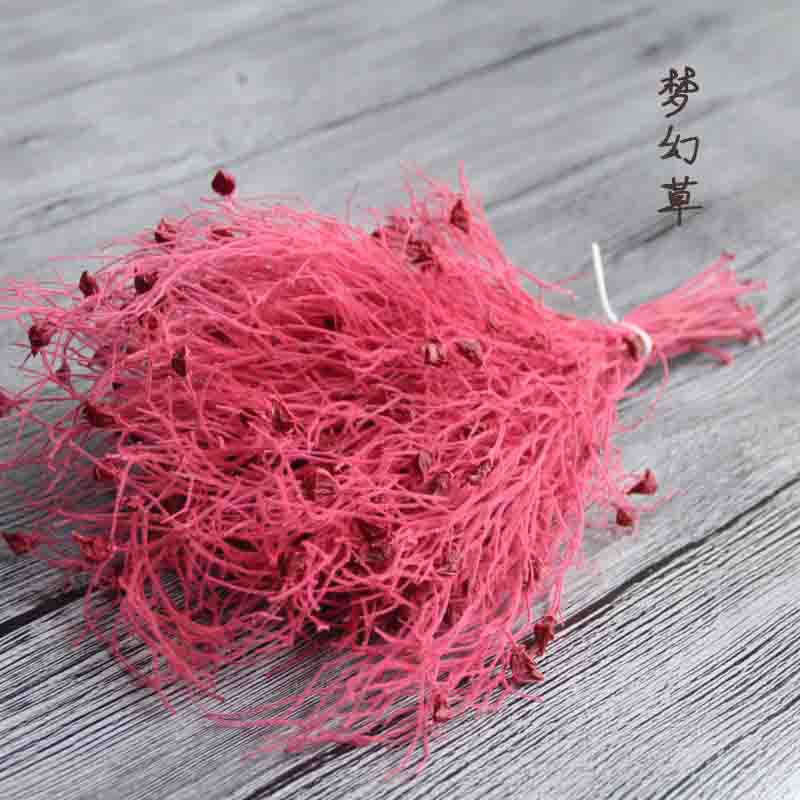 

20g/box Nature Fresh Preserved Fantasy Grass, Eternell Flower Plant,Christmas Wedding Home Gift Box Decoration ,Eternelle Rose, Red