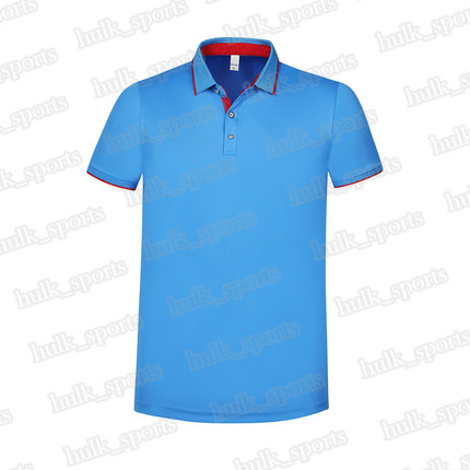 

2656 Sports polo Ventilation Quick-drying Hot sales Top quality men 201d T9 Short sleeve-shirt comfortable new style jersey101191108, Brown