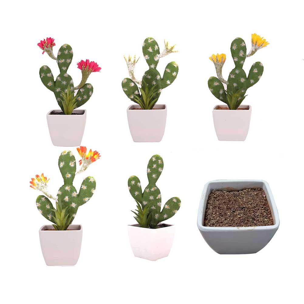 

High - End Simulation Cactus Bonsai 3-Ear Cactus Succulent Simulation Bonsai DIY Innovative Miniascape Without Pot