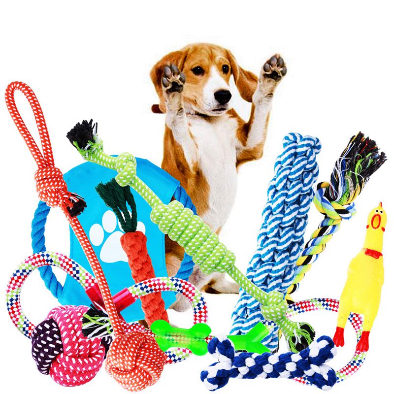 juegos para perros online