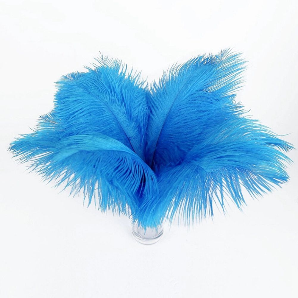turquoise feathers for sale