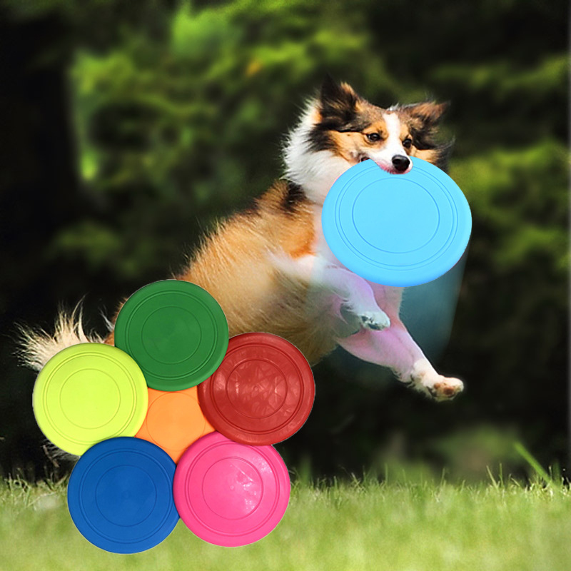 bulk frisbees for dogs