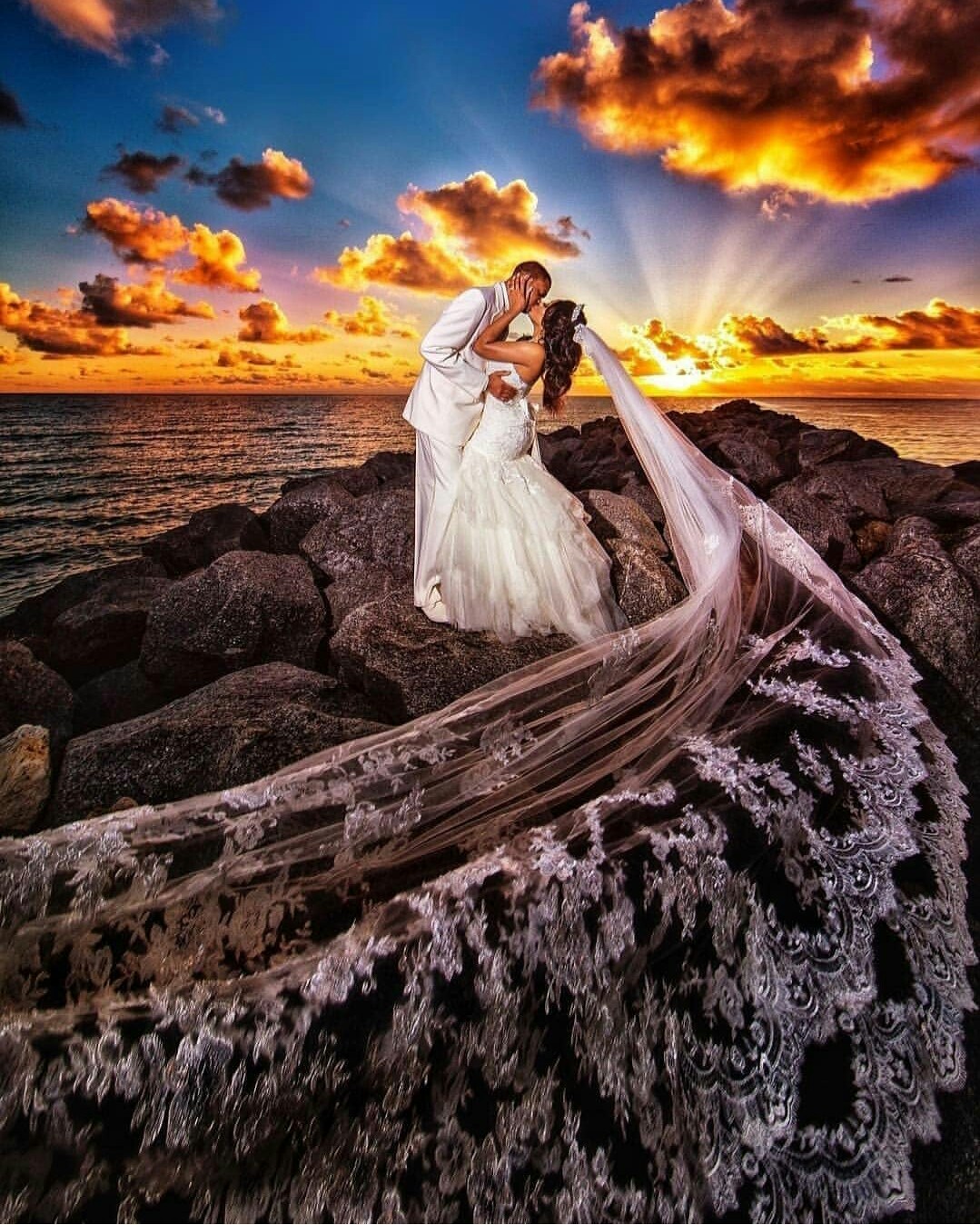 

New Arrival Long 4M Wedding Veils With Lace Applique Edge One Layer Cathedral Length Custom Made Cheap Bridal Veil, Ivory
