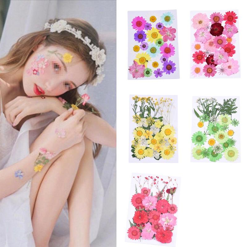 

Dried Flower Material Package Natural Mixed Colors Diy Flowers Embossing For Photo Studio Props Diy Art Floral Bride Body Decors