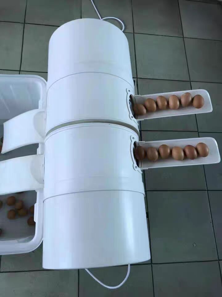 

steel Best quality Multifunction automatic recycled water fresh egg cleaning washing machine/dirty duck egg washer