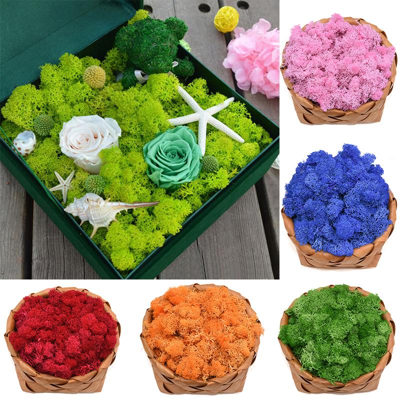 

500g simulation plants eternal life moss Garden home decor wall DIY Flower material Mini Garden Micro Landscape fake moss