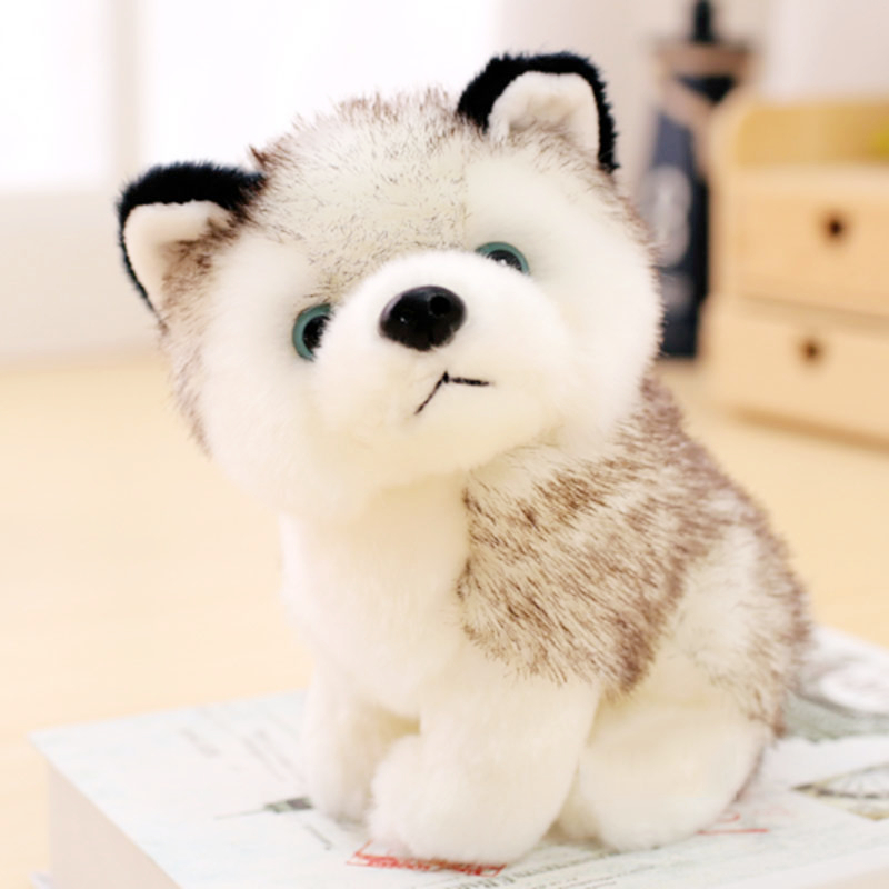 chien chinois peluche