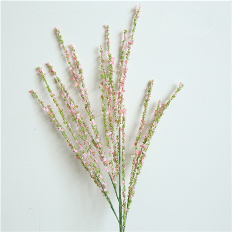 Pink 1