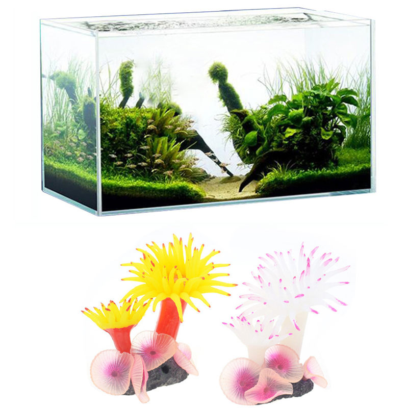 fish tank wholesale suppliers