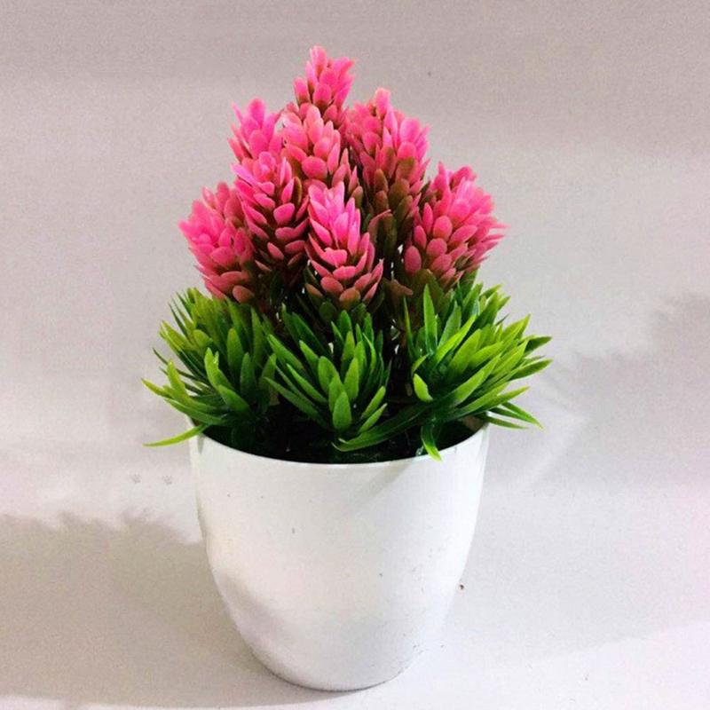 

Bonsai Seed Tree Plant Potted Flower Decoration Purifier Home Decoration, Red