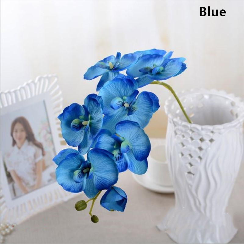 Blue Phalaenopsis