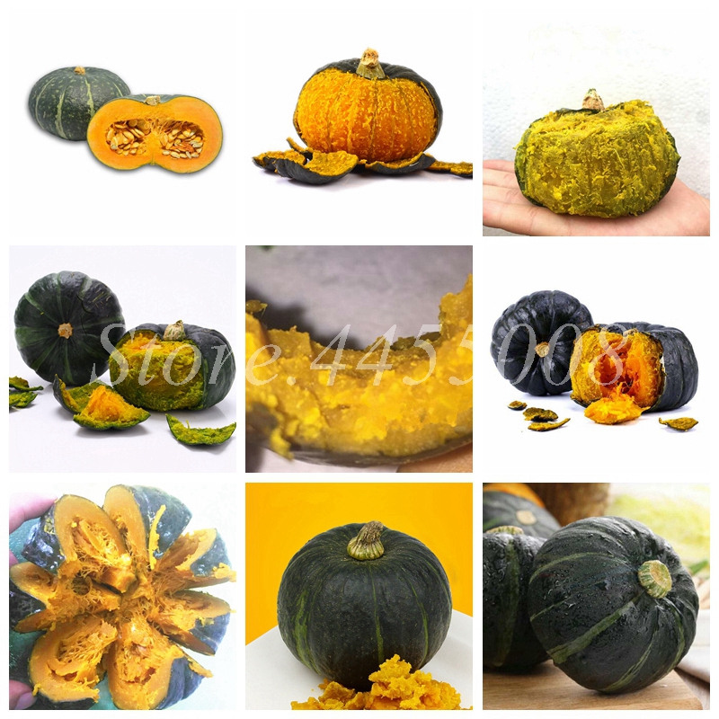 

50 Pcs Giant Pumpkin Seeds Bonsai Plants Outdoor Pumpkin Organic Vegetables Nutrient-Rich Food NON-GMO Edible Plants For Home Garden