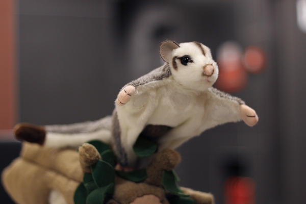stuffed sugar glider