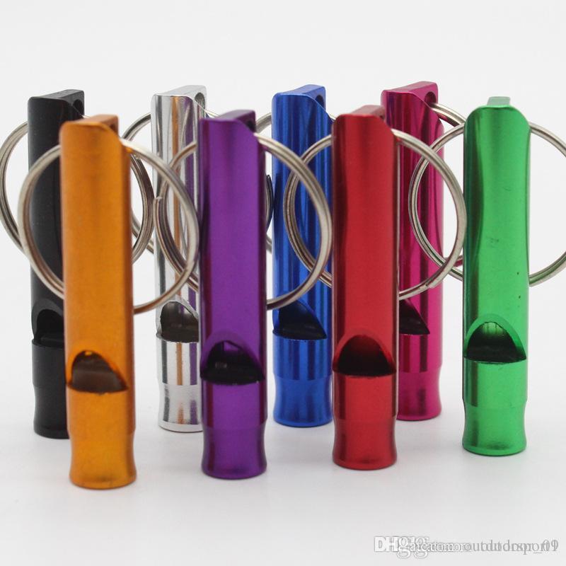 

Pet cats and dogs train whistles outdoors to build a magical whistle for communication between pets and humans