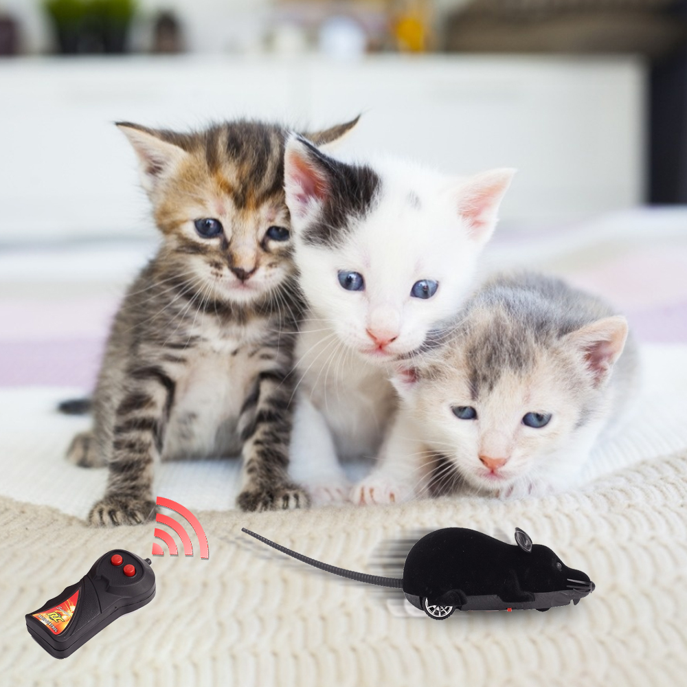 Kaufen Sie Im Grosshandel Mause Fangen 2020 Zum Verkauf Aus China