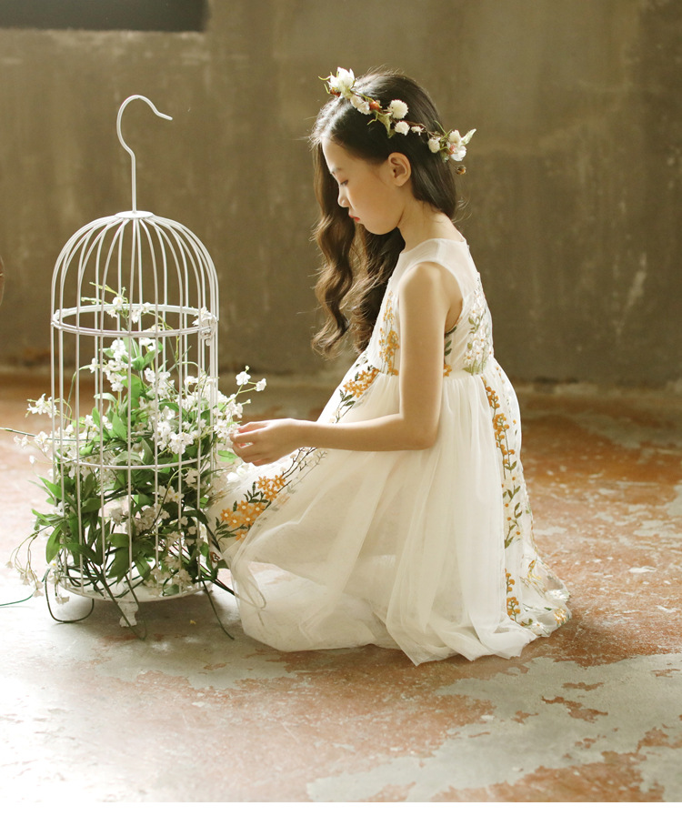 

Children Designer Lace Dress Girls Brand Princess Dresses Girls Fashion Embroidered Dress Kids Luxury Summer Skirts 2020 New Fashion Wholesa, White