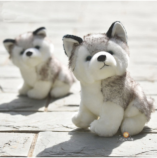 juguetes para perros husky