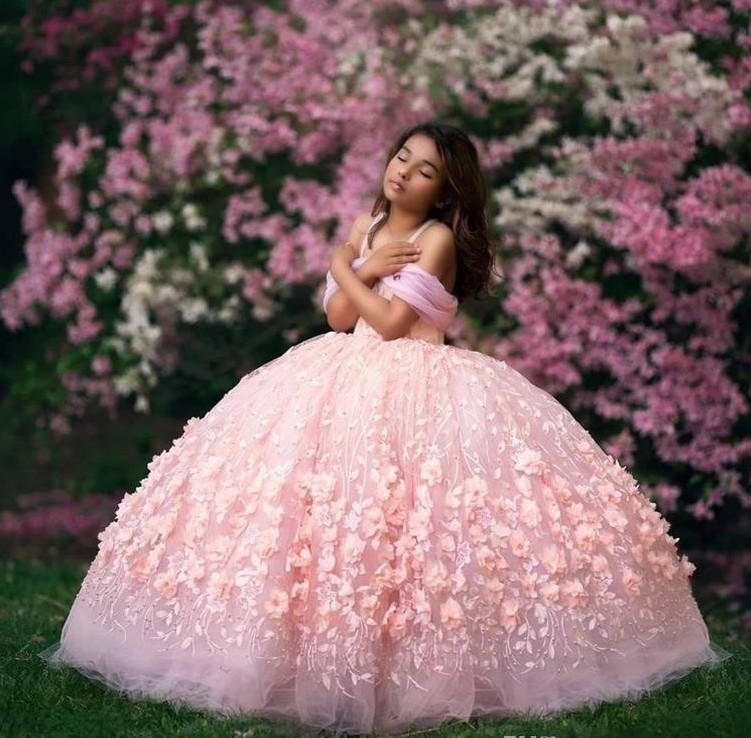 

Baby Pink Ball Gown Flower Girl Dresses 2020 Off Shoulder Lace Girls Pageant Dress Kids Formal Wear First Communion Gowns Party Wear, Brown