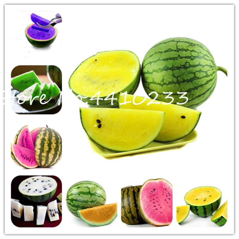 

Bonsai 50 Pcs Colorful Watermelon Bonsai plant seeds Succulent Sweet Fruit Plants In Happy Farm Summer Delicious Fruits Bonsai Easy To Grow