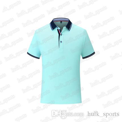 

2656 Sports polo Ventilation Quick-drying Hot sales Top quality men 201d T9 Short sleeve-shirt comfortable new style jersey588810, Brown