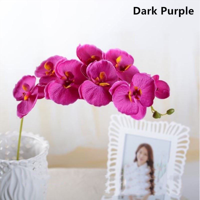 Dark Purple
