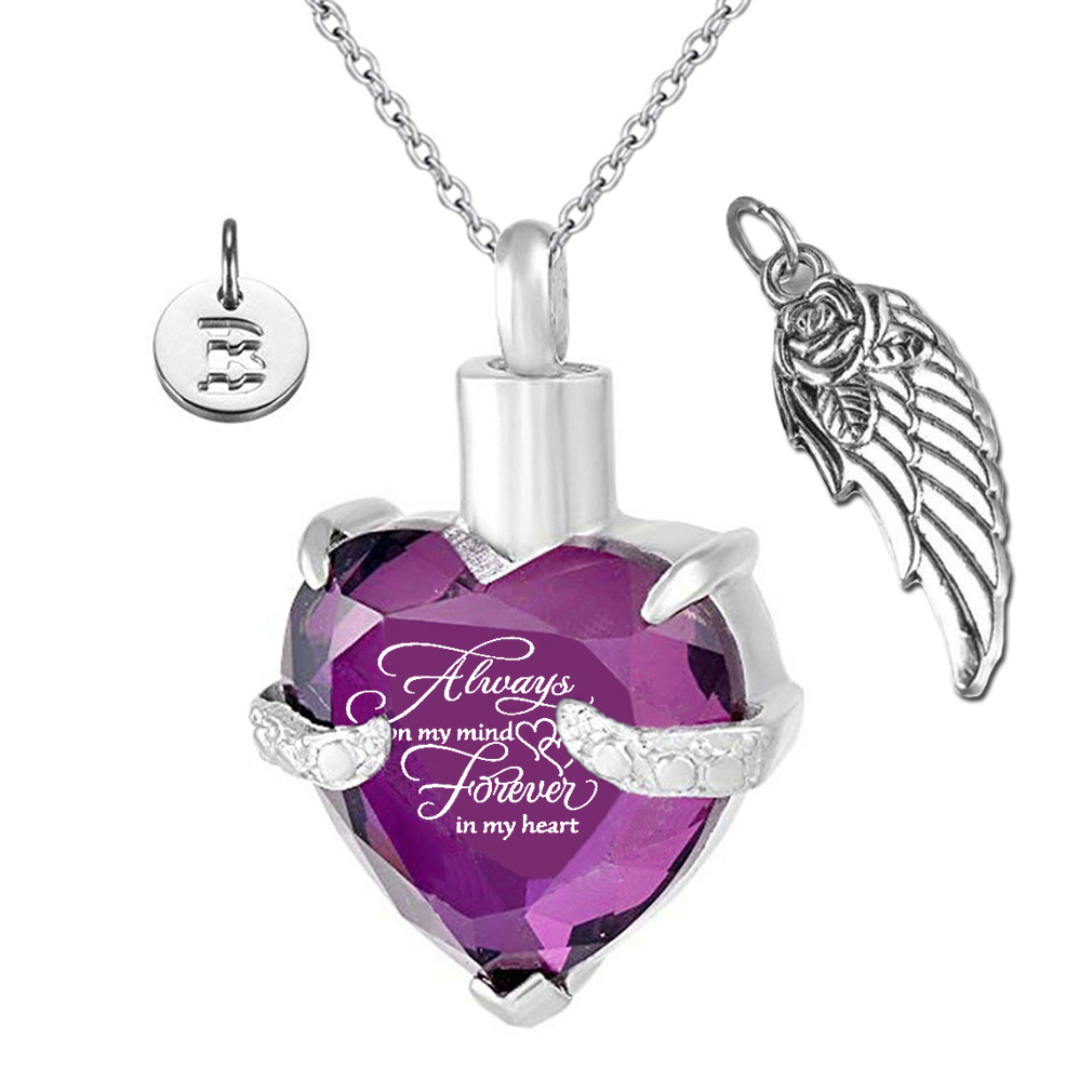 

Forever in my Heart Angel Wing and Birthstone February Crystal Charm Stainless Steel Cremation Jewelry Keepsake Memorial Urn Necklace Kit