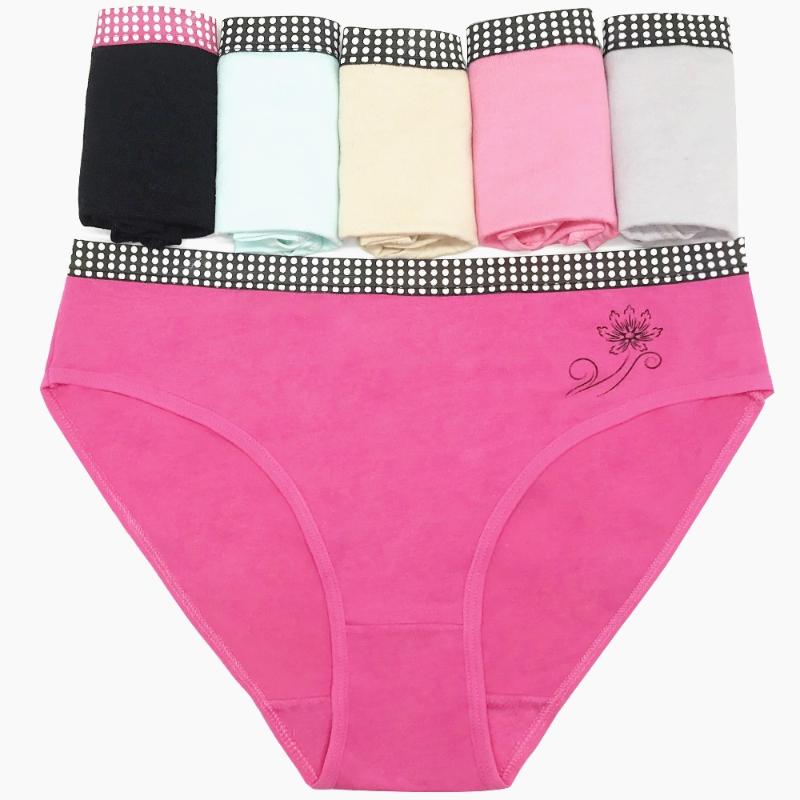 

Free Shipping 4pcs/lot Big yards 2XL/3XL/ Women's underwear plus size cotton large size lady briefs mommy pants 89088, Mix 4 colors