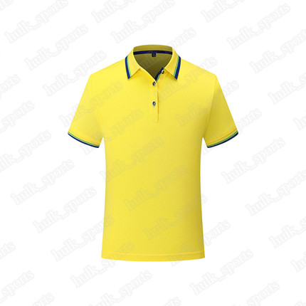 

2656 Sports polo Ventilation Quick-drying Hot sales Top quality men 201d T9 Short sleeve-shirt comfortable new style jersey101880, Brown
