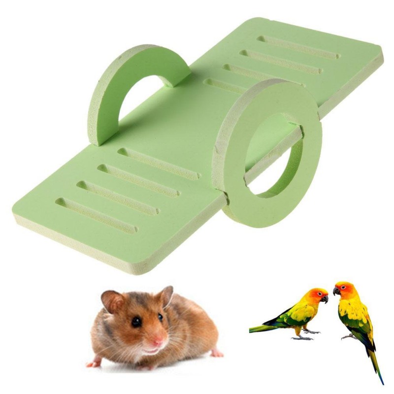 cute guinea pig beds