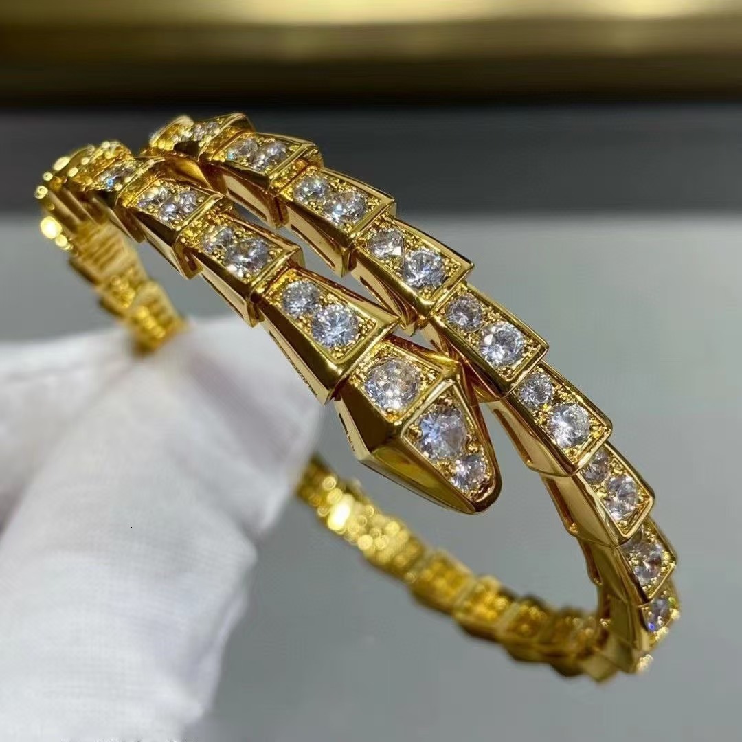 Bangle luxury bracelet jewelry woman designer mens bracelet new fashion snake stainless steel and zirconium bangle birthday gift diamond bangle